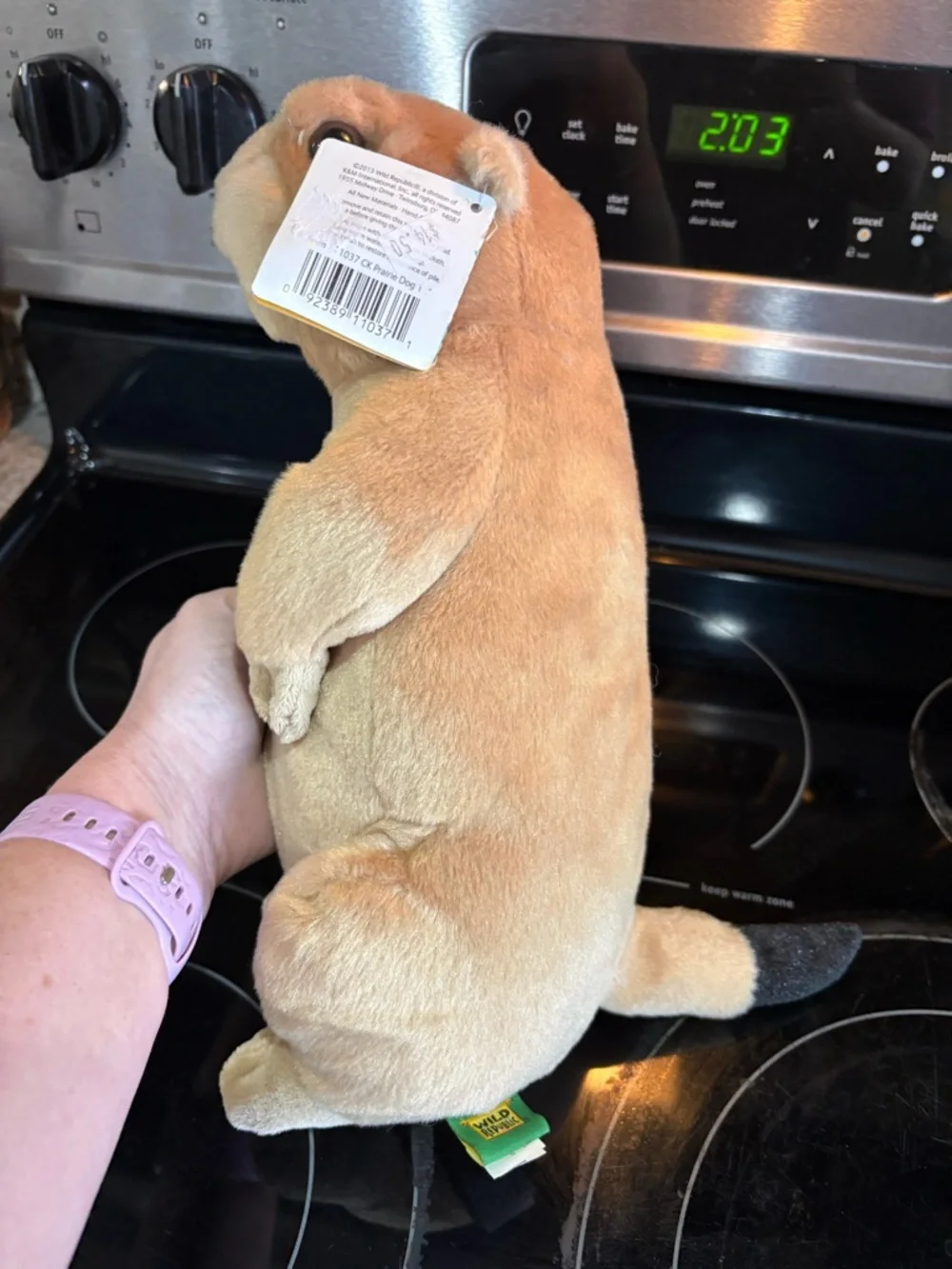 Plush Small Pet Toy - Cream Standing Plush Prairrie Dog